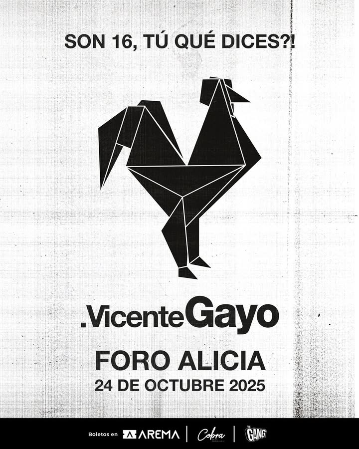 Vicente Gayo en Vivo