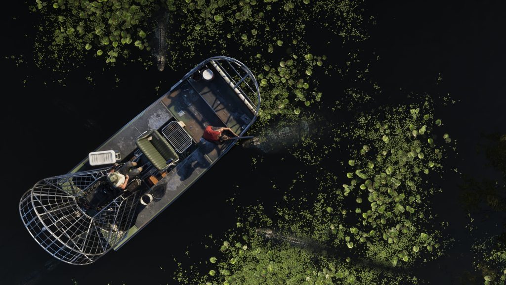 Caza de caimanes en GTA 6