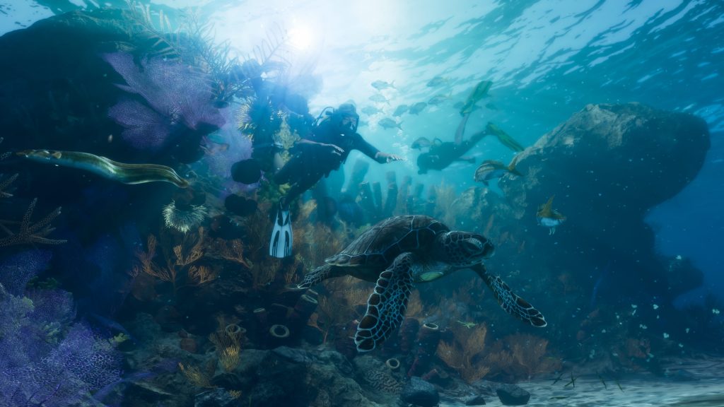Buceo en Leonida Keys