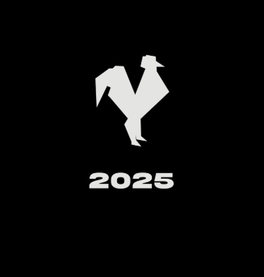 Logotipo de Vicente Gayo 2025